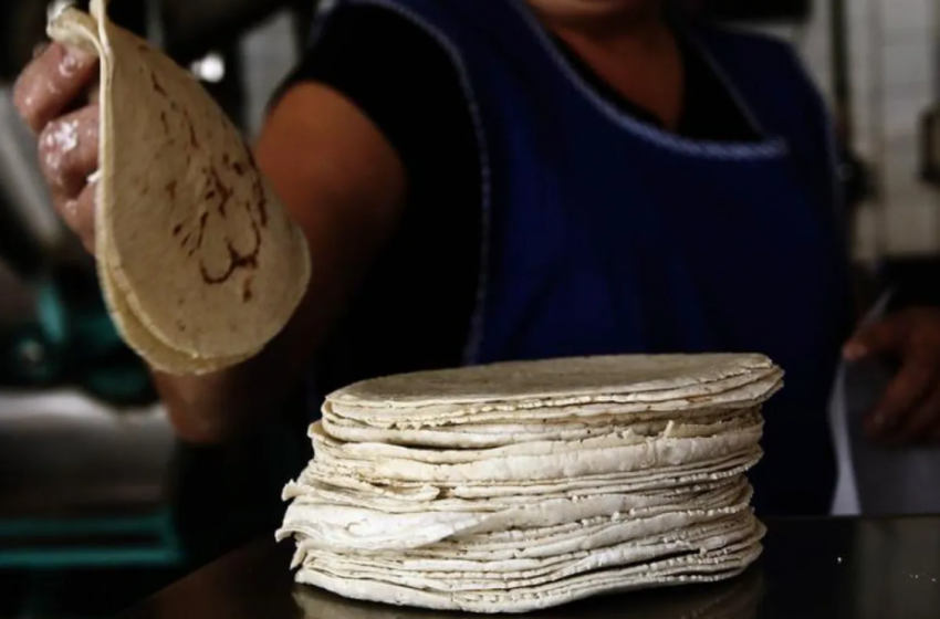  Tortilla subió más de 3 pesos en promedio a lo largo de 2022