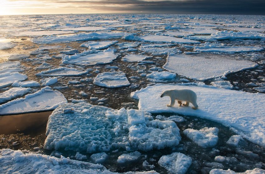  ¿No crees en el calentamiento global? Así subió la temperatura en Groenlandia desde 1995