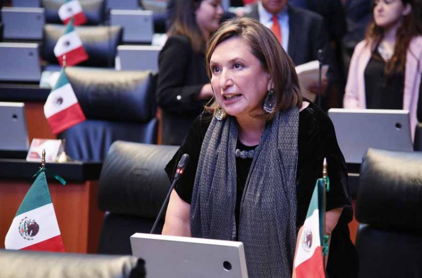 ¿Por qué Movimiento Ciudadano puede apoyar a Xóchitl Gálvez? Así ha sido su ascenso
