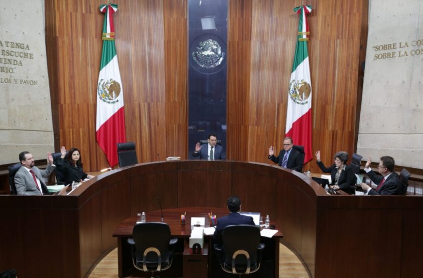 Tribunal Electoral valida giras proselitistas de los precandidatos de Morena