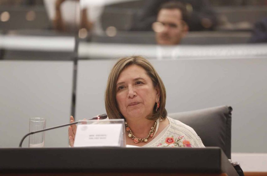 Xóchitl pide a INE “manotazo de autoridad” contra AMLO: “Va a tratar, a como dé lugar, de fulminarme”