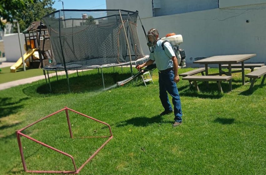 INVITAN A RAMOSARIZPENSES A REPORTAR PRESENCIA DE GARRAPATAS