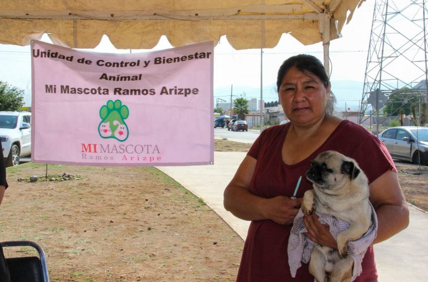 INVITAN A JORNADA PARA MASCOTAS EN LA COLONIA CACTUS