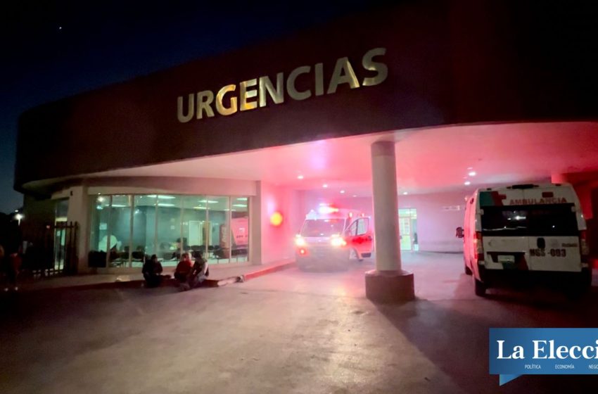  Lo matan por defender a sus perrhijos