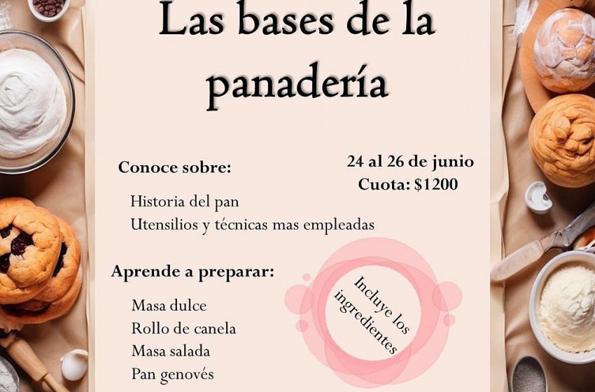 Descubre la Ciencia con el Curso “Panadería Nivel 1” que ofrece la UAdeC