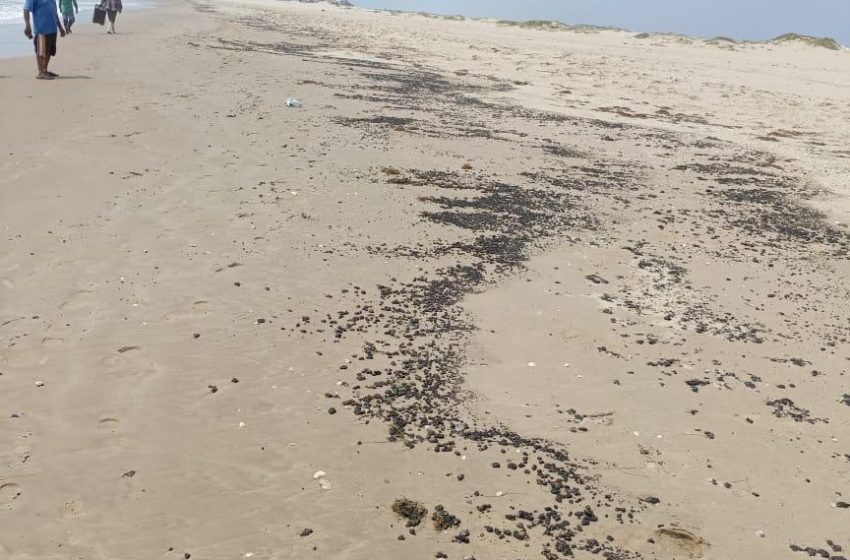  Profepa corrobora derrame de hidrocarburos en playas de Tamaulipas