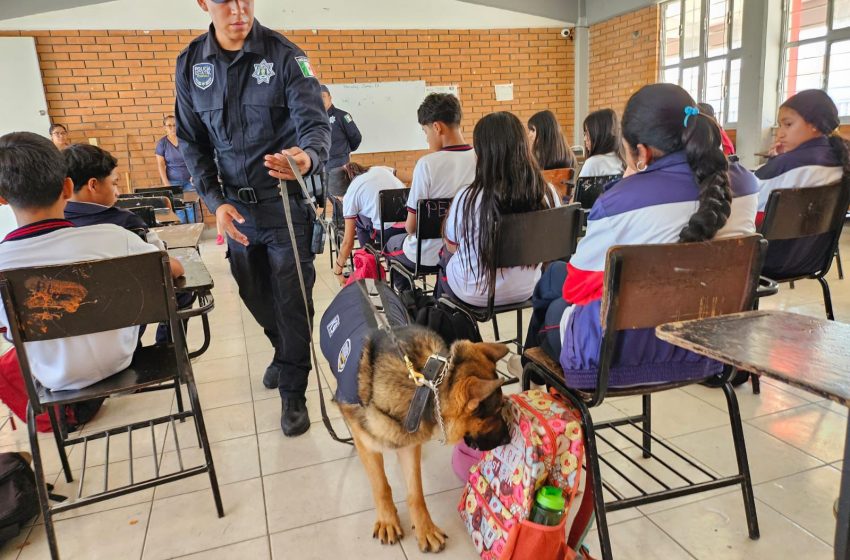  REALIZAN “OPERATIVO MOCHILA” EN SECUNDARIA DE LA COLONIA VILLASOL EN RAMOS ARIZPE