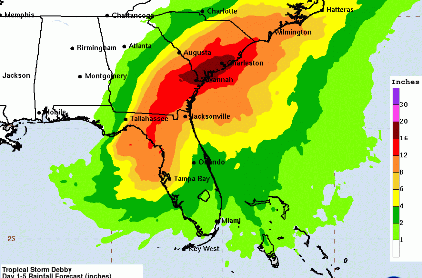 La fuerte Tormenta Debby impactara el sureste de EEUU. Florida se prepara para lluvias “históricas”