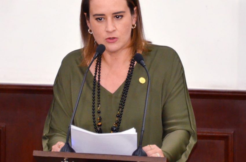  Fortalecer uso de herramientas y procesos digitales en micro, pequeñas y medianas empresas, solicita Beatriz Fraustro