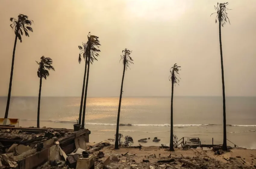 Sin control incendios en Los Ángeles; suman cinco muertos