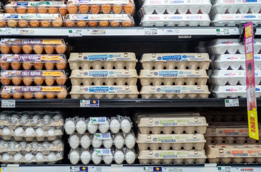  Estados Unidos importa huevos de Corea del Sur y Turquía para frenar el alza de precios causada por la gripe aviar