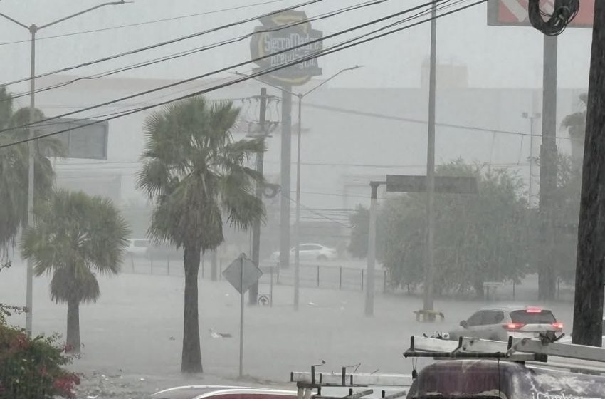 Inundaciones en Reynosa: Rescatan a habitantes atrapados en techos y autos