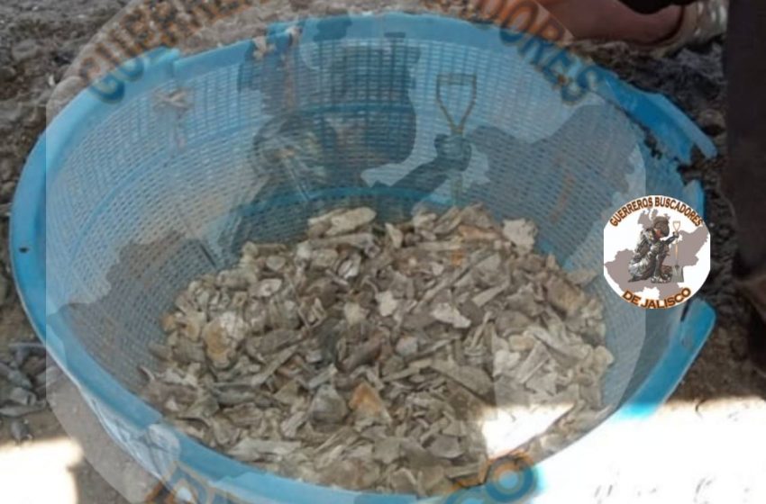 Hallazgo de crematorios clandestinos en Teuchitlán, Jalisco: “Es algo nunca visto”