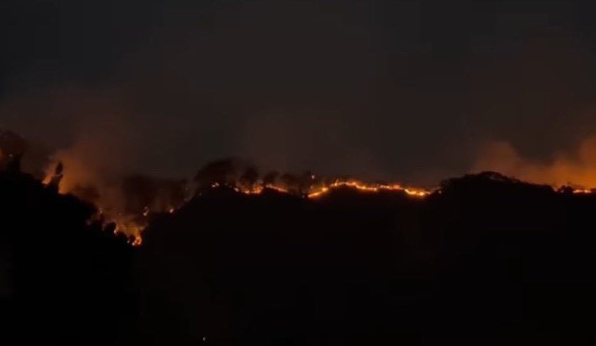  Incendio en el Tepozteco sigue activo; ya suma 100 hectáreas afectadas