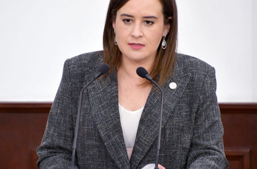  Prohibición de aditivo tóxico en alimentos, pide Beatriz Fraustro a COFEPRIS
