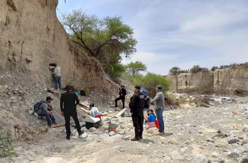  Encuentran posibles restos de mamut en Tamaulipas