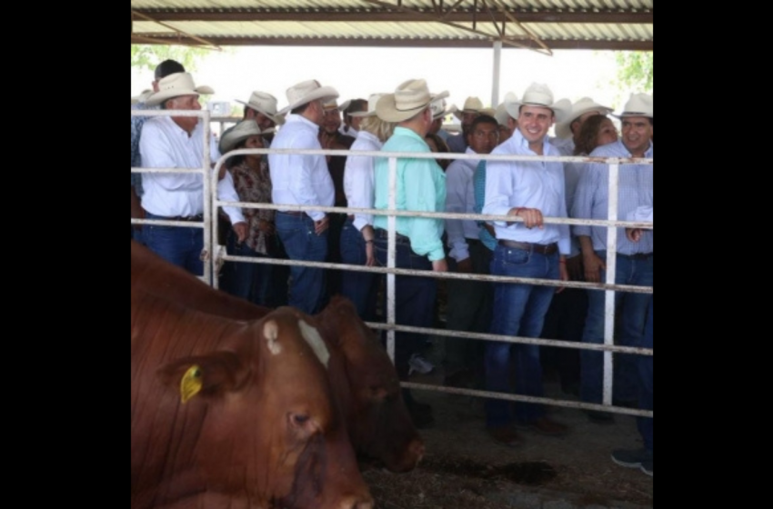  Entrega Manolo Jiménez 400 toros a ganaderos de Coahuila