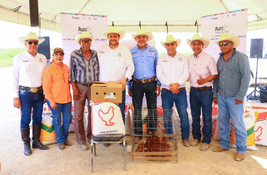 Apoya Tomás Gutiérrez a familias rurales con entrega de gallinas para autoconsumo y venta