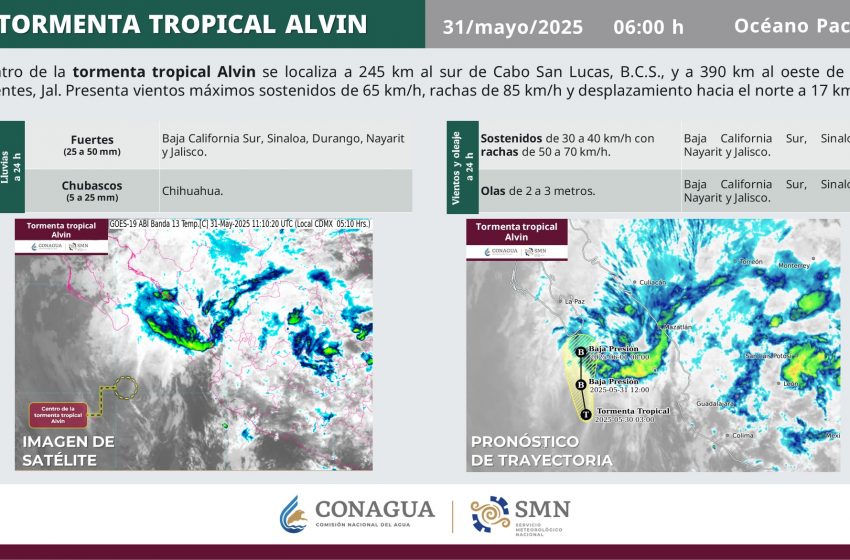 Tormenta Alvin pierde fuerza rumbo a Baja California y se degradará a baja presión