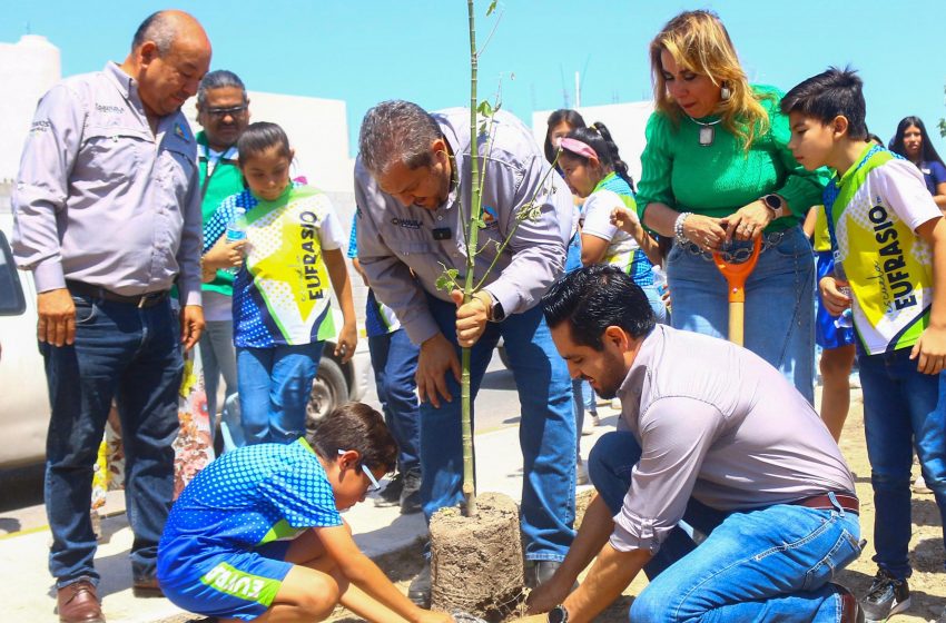  “Hoy sembramos árboles y también sembramos conciencia”: Tomás GutiérrezAlcalde reafirma su compromiso con un crecimiento que respete el entorno y piense en las generaciones futuras: Tomás GutiérrezAlcalde reafirma su compromiso con un crecimiento que respete el entorno y piense en las generaciones futuras