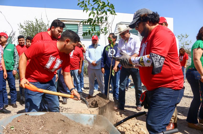  La Alianza para la Reforestación en Ramos Arizpe: Un Ejemplo de Colaboración entre Gobierno y Fundación De Acero