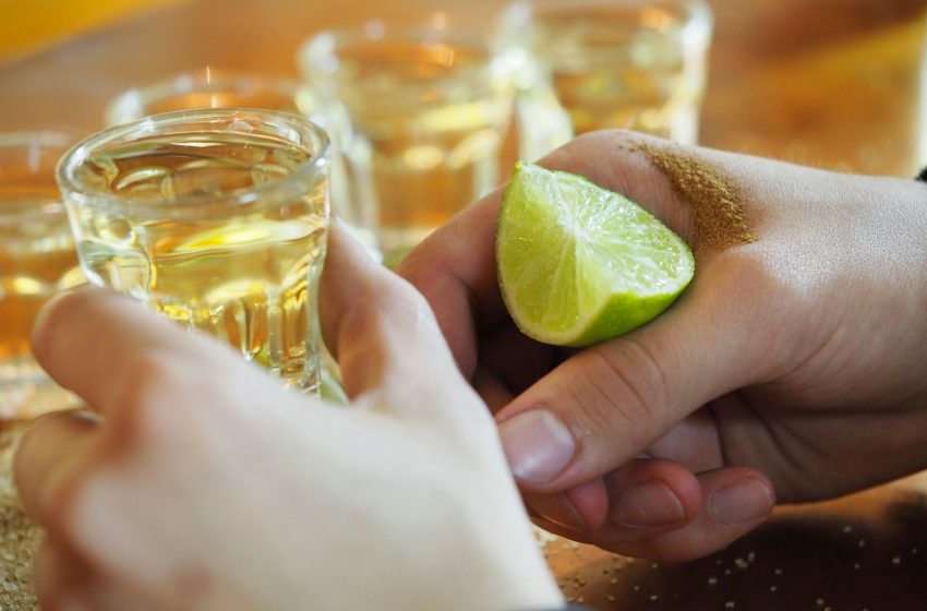  Consejo Regulador del Tequila impulsa reforestación con más de 40,000 plantas