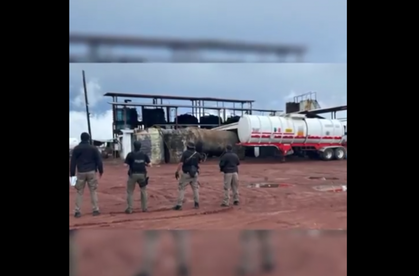 Decomiso de 933 mil litros de hidrocarburo en Veracruz