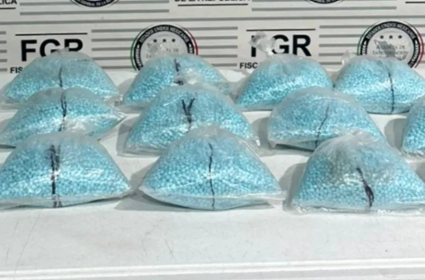 Aseguran 200 mil pastillas de fentanilo tras inspección de un autobús en Sonora