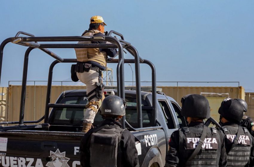 Enfrentamiento en Nuevo León deja 12 muertos y armamento decomisado