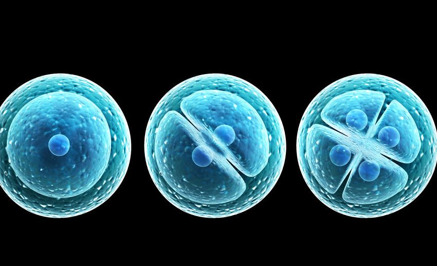 El milagro de la fecundación in vitro: Nace bebé de 30 años