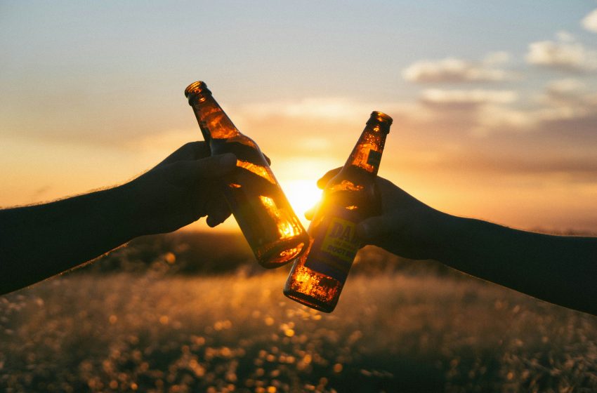 Importancia Económica de la Venta de Cerveza en TienditasMexicanas