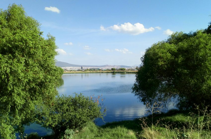 Presas de Querétaro alcanzan el 100% de llenado al cierre de agosto de 2025