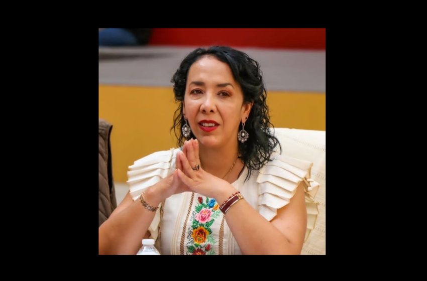 Presunta colaboración de diputada de Morena con red vinculada a Los Mayos