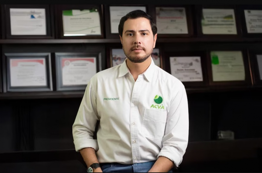 Asesinato de Bernardo Bravo, líder limonero en Michoacán: un golpe a la industria citrícola