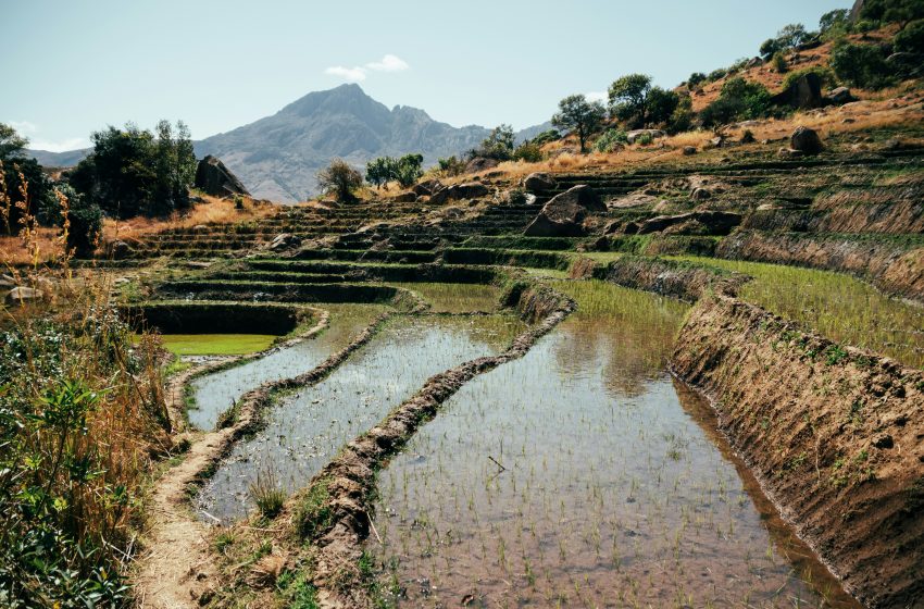 Posible venta de negocio agrícola impulsa acciones de Orbia en la BMV