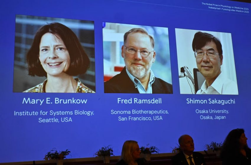 Descubrimientos sobre la tolerancia inmunitaria: Nobel de Medicina 2025
