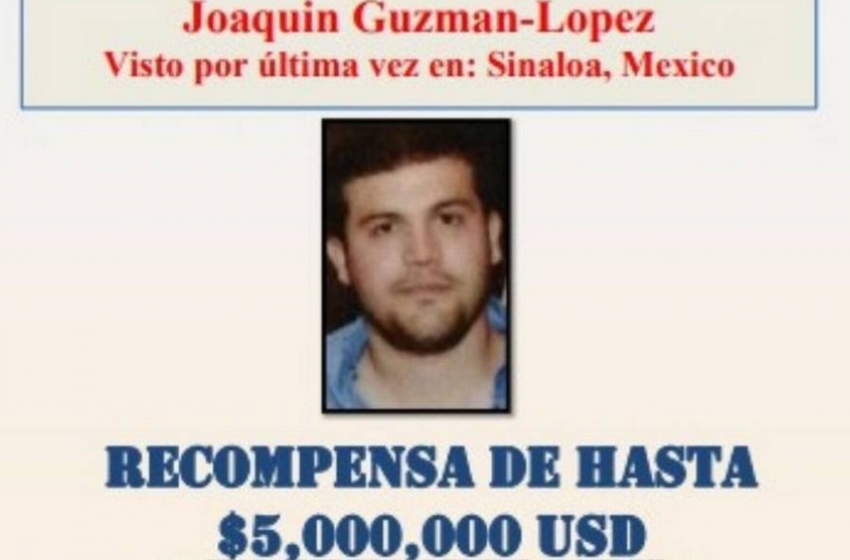  Declaración de culpabilidad de Joaquín Guzmán López, hijo del “Chapo”