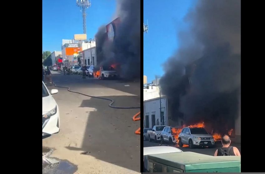  Tragedia en tienda Waldo’s de Hermosillo: 23 personas fallecidas, entre ellas menores de edad