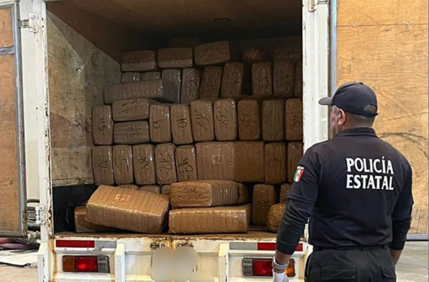  Incautan  676 kg de marihuana en la carretera Torreón – Saltillo