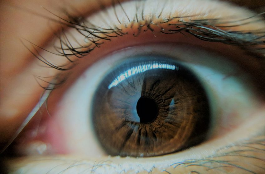  La importancia de la detección temprana del glaucoma