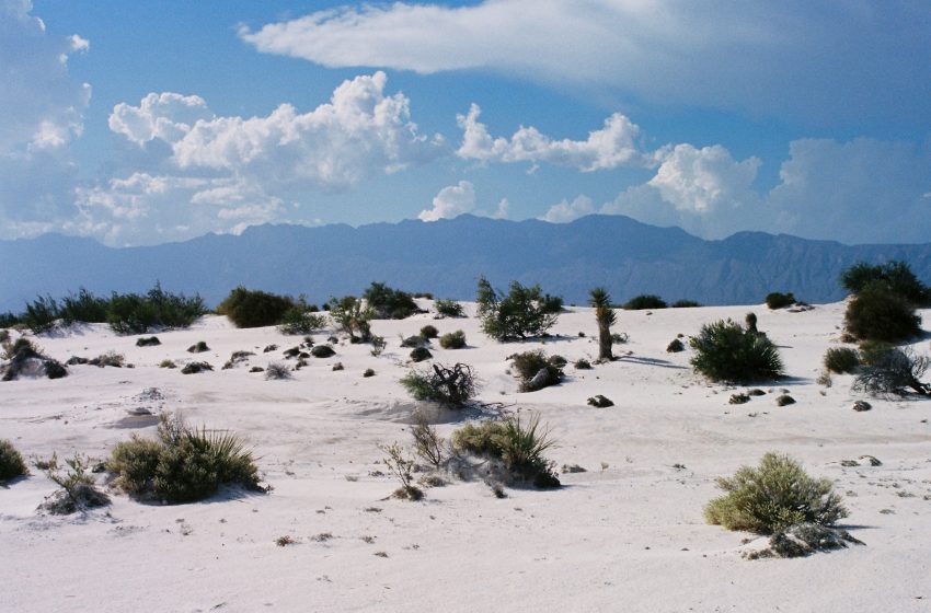  Cuatro Ciénegas reactiva tres de sus parques turísticos tras clausura del río Mezquites