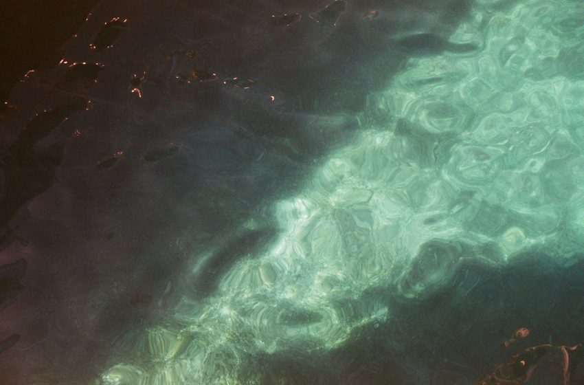  Contaminación por hidrocarburos en el Golfo de México: Acciones de mitigación y control por Semar y Semarnat