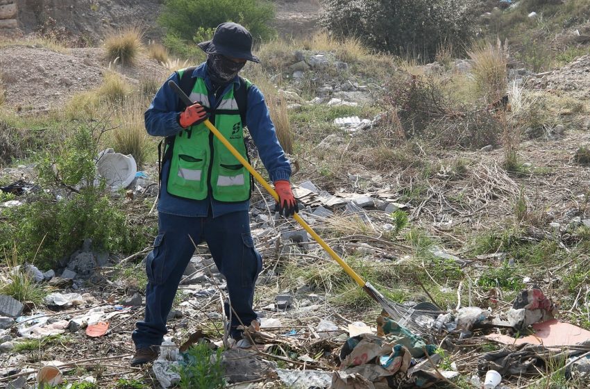 Mejora del entorno urbano en Saltillo a través de programas de reforestación y embellecimiento de espacios públicos