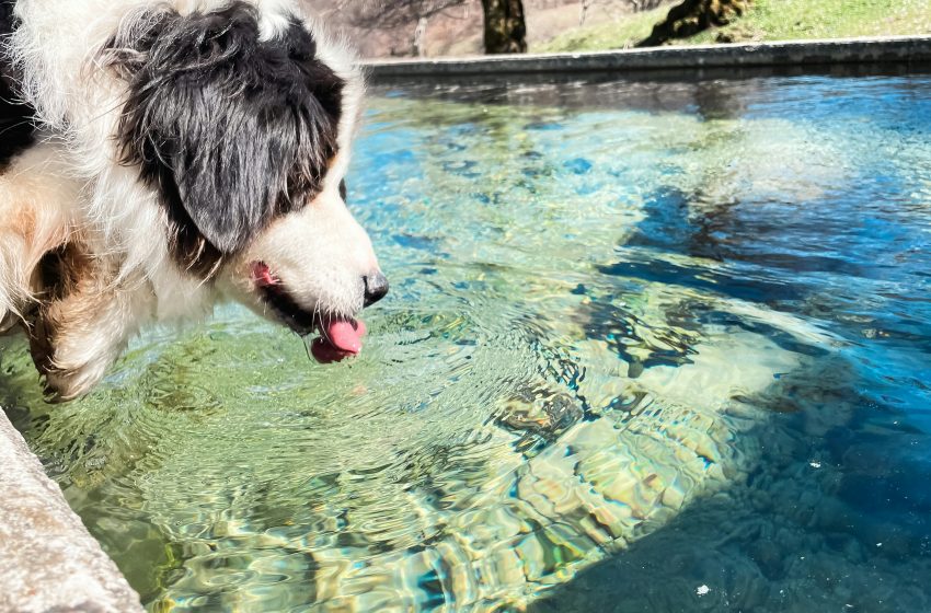  Coordinará Manolo Jiménez plan de distribución de Agua Saludable con alcaldes de la Comarca Lagunera