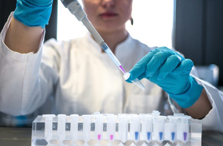  Rastreo celular para diagnosticar enfermedades autoinmunes: Investigación de la UNAM